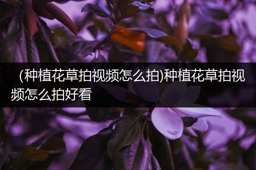 （种植花草拍视频怎么拍)种植花草拍视频怎么拍好看