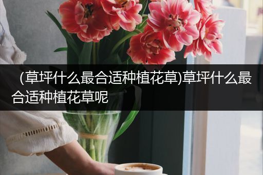 （草坪什么最合适种植花草)草坪什么最合适种植花草呢