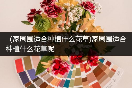 （家周围适合种植什么花草)家周围适合种植什么花草呢