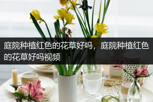 庭院种植红色的花草好吗，庭院种植红色的花草好吗视频