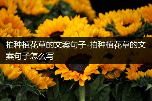 拍种植花草的文案句子-拍种植花草的文案句子怎么写
