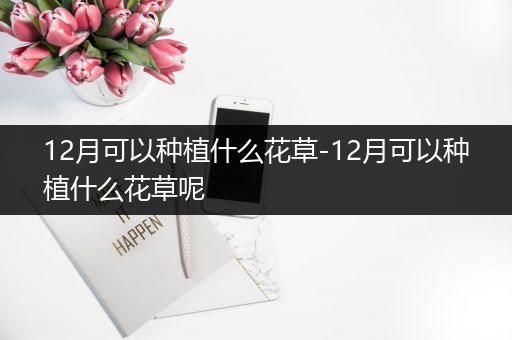 12月可以种植什么花草-12月可以种植什么花草呢