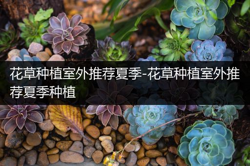 花草种植室外推荐夏季-花草种植室外推荐夏季种植