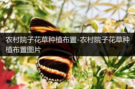 农村院子花草种植布置-农村院子花草种植布置图片