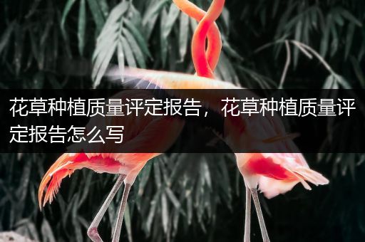 花草种植质量评定报告，花草种植质量评定报告怎么写