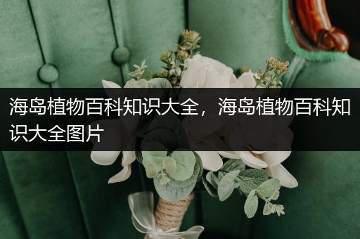 海岛植物百科知识大全，海岛植物百科知识大全图片