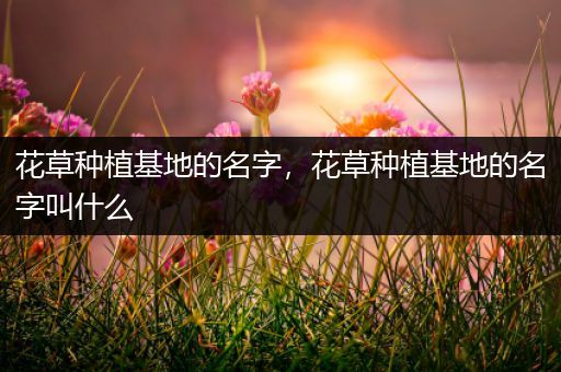 花草种植基地的名字，花草种植基地的名字叫什么
