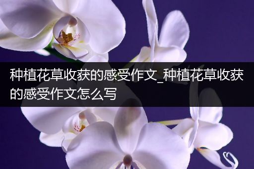 种植花草收获的感受作文_种植花草收获的感受作文怎么写