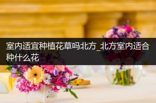 室内适宜种植花草吗北方_北方室内适合种什么花