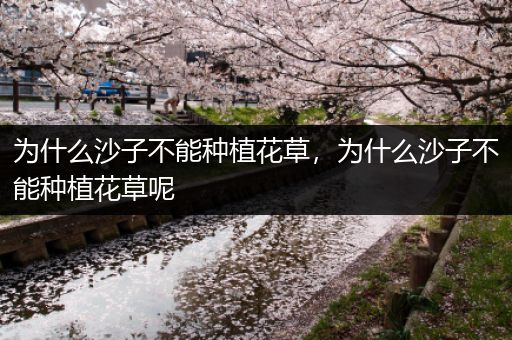为什么沙子不能种植花草，为什么沙子不能种植花草呢