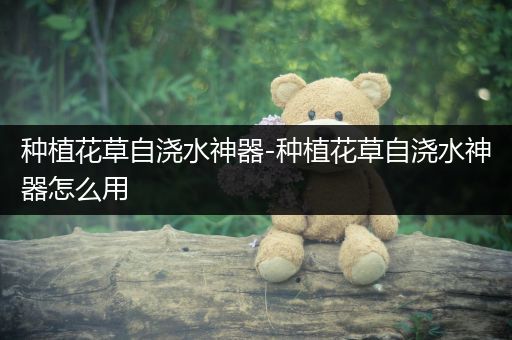 种植花草自浇水神器-种植花草自浇水神器怎么用