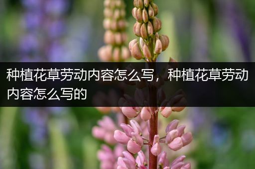 种植花草劳动内容怎么写，种植花草劳动内容怎么写的