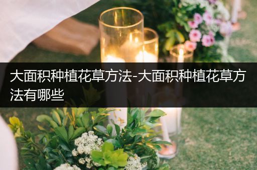 大面积种植花草方法-大面积种植花草方法有哪些