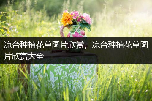 凉台种植花草图片欣赏，凉台种植花草图片欣赏大全