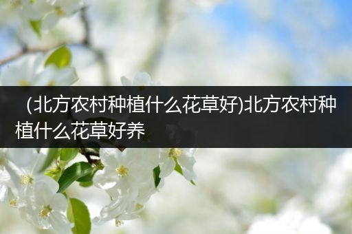 （北方农村种植什么花草好)北方农村种植什么花草好养