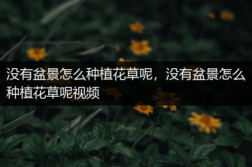 没有盆景怎么种植花草呢，没有盆景怎么种植花草呢视频