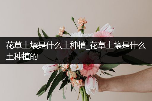 花草土壤是什么土种植_花草土壤是什么土种植的