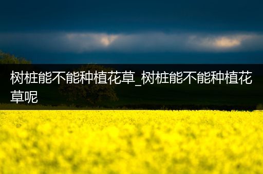 树桩能不能种植花草_树桩能不能种植花草呢