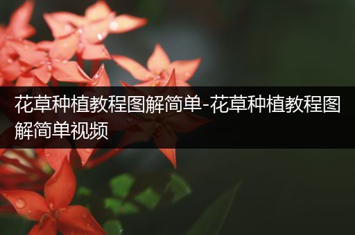 花草种植教程图解简单-花草种植教程图解简单视频
