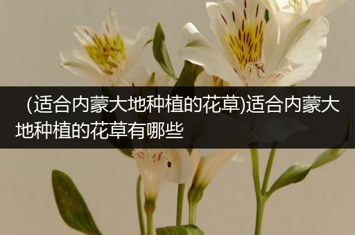 （适合内蒙大地种植的花草)适合内蒙大地种植的花草有哪些