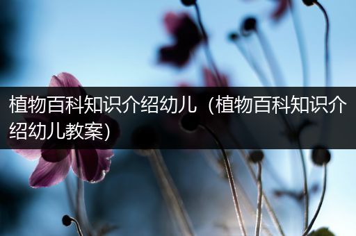 植物百科知识介绍幼儿（植物百科知识介绍幼儿教案）