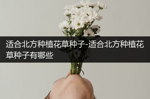 适合北方种植花草种子-适合北方种植花草种子有哪些