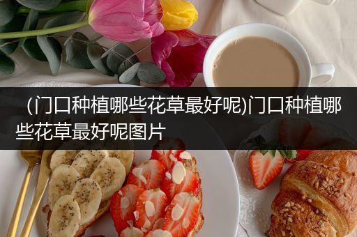 （门口种植哪些花草最好呢)门口种植哪些花草最好呢图片