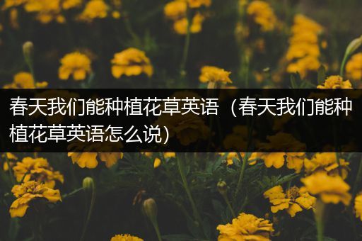 春天我们能种植花草英语（春天我们能种植花草英语怎么说）