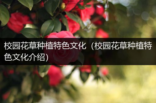 校园花草种植特色文化（校园花草种植特色文化介绍）