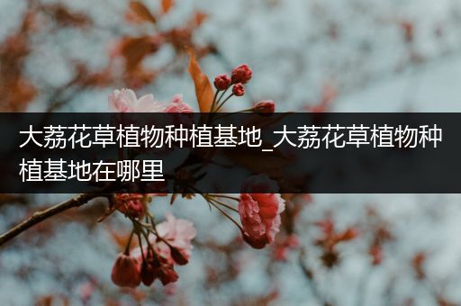 大荔花草植物种植基地_大荔花草植物种植基地在哪里