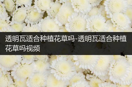 透明瓦适合种植花草吗-透明瓦适合种植花草吗视频