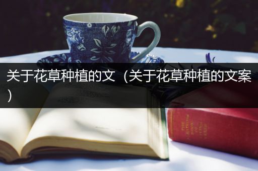 关于花草种植的文（关于花草种植的文案）