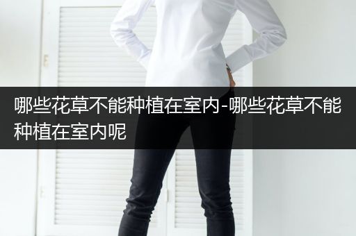 哪些花草不能种植在室内-哪些花草不能种植在室内呢