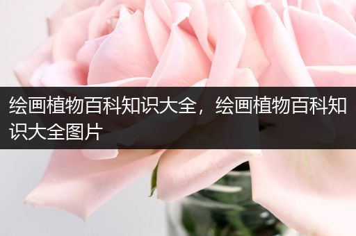 绘画植物百科知识大全，绘画植物百科知识大全图片