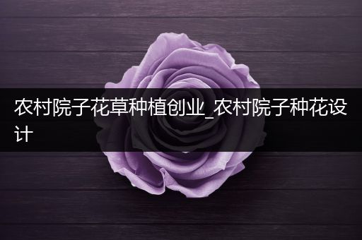农村院子花草种植创业_农村院子种花设计