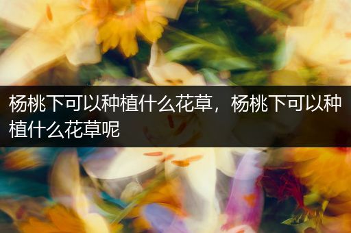 杨桃下可以种植什么花草，杨桃下可以种植什么花草呢