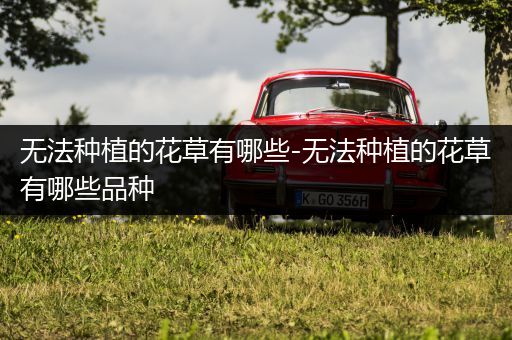 无法种植的花草有哪些-无法种植的花草有哪些品种