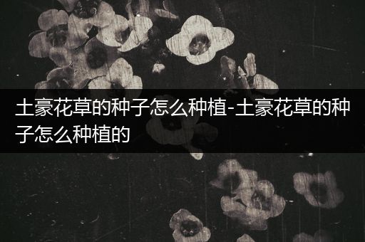 土豪花草的种子怎么种植-土豪花草的种子怎么种植的