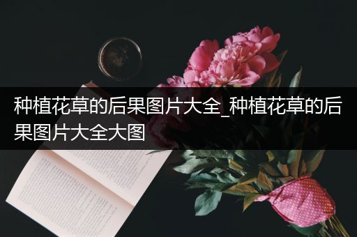 种植花草的后果图片大全_种植花草的后果图片大全大图