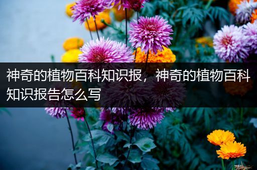 神奇的植物百科知识报，神奇的植物百科知识报告怎么写