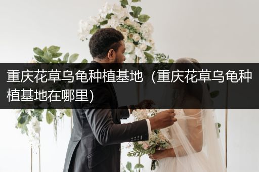 重庆花草乌龟种植基地（重庆花草乌龟种植基地在哪里）