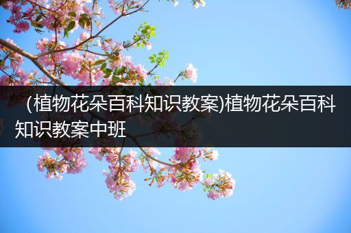 （植物花朵百科知识教案)植物花朵百科知识教案中班