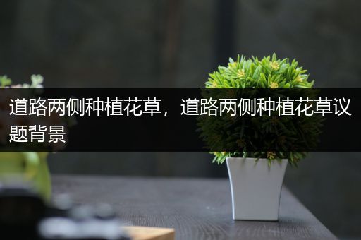 道路两侧种植花草，道路两侧种植花草议题背景