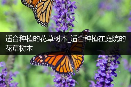 适合种植的花草树木_适合种植在庭院的花草树木