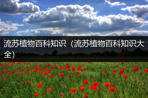流苏植物百科知识（流苏植物百科知识大全）