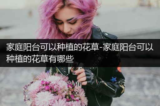家庭阳台可以种植的花草-家庭阳台可以种植的花草有哪些