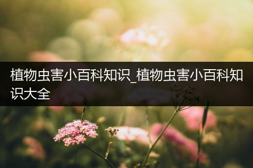 植物虫害小百科知识_植物虫害小百科知识大全