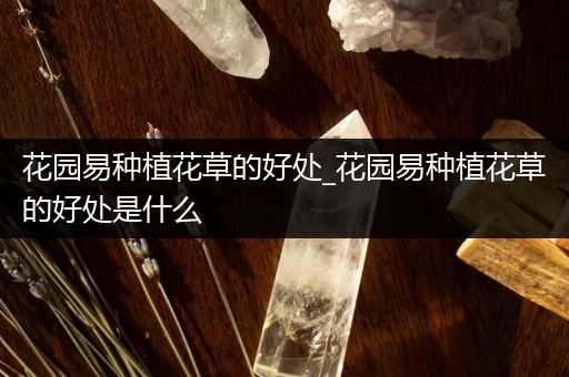 花园易种植花草的好处_花园易种植花草的好处是什么
