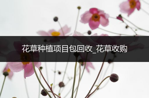 花草种植项目包回收_花草收购