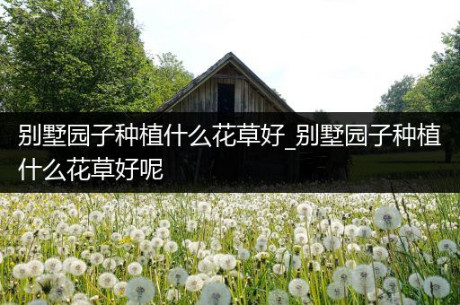 别墅园子种植什么花草好_别墅园子种植什么花草好呢